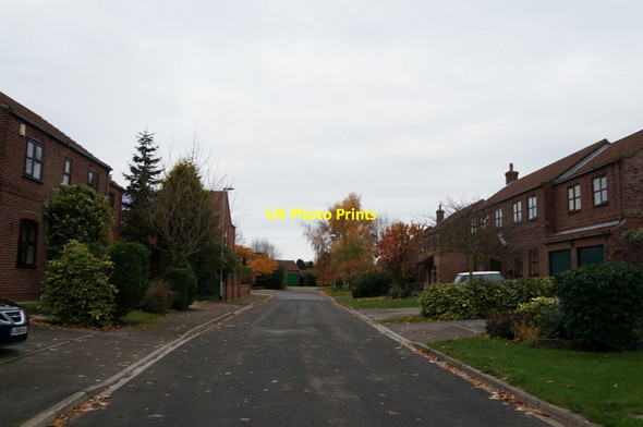 Photo 6"x4" Yew Tree Park, Whitley Whitley\/SE5621 c2013