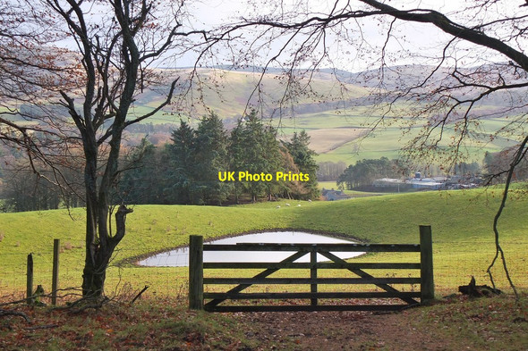 Photo 6"x4" Pond, Ada Hill Darnhall Mains c2013
