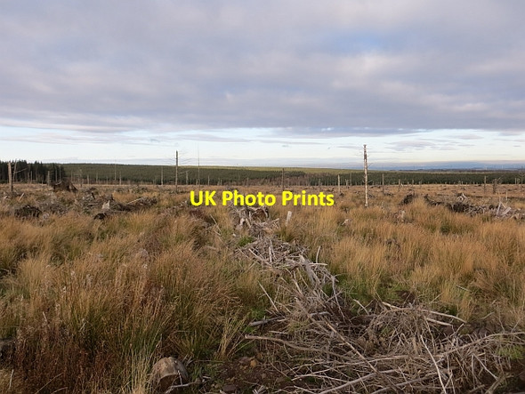 Photo 6"x4" Clear felled area Hareshaw Burn\/NS7339 c2013