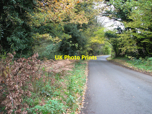 Photo 6"x4" To Costessey on Costessey Lane Costessey Park c2013