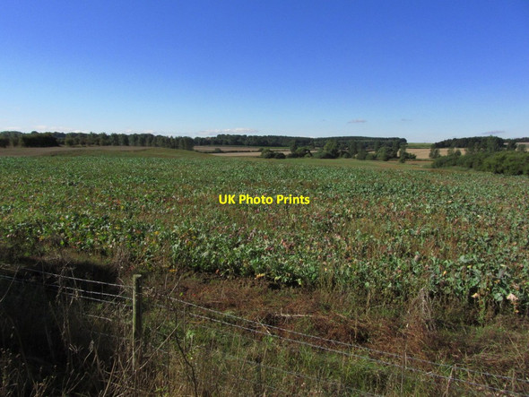 Photo 6"x4" Agricultural landscape W of Brick Yard Farm, Donington on Bain Donington on Bain c2013