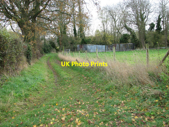 Photo 6"x4" Footpath to Ringland Ringland\/TG1314 c2013