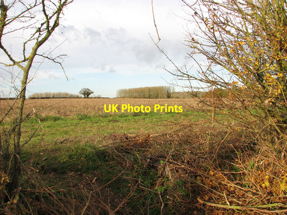 Photo 6"x4" Fields by Glebe Farm, Ringland Ringland\/TG1314 c2013