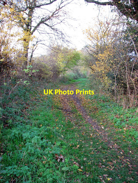 Photo 6"x4" Footpath to Low farm, Ringland Ringland\/TG1314 c2013