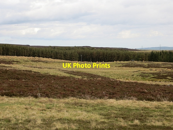 Photo 6"x4" Moorland, Debdon Whitefield Knocklaw c2013