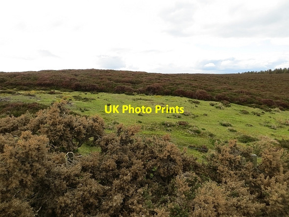 Photo 6"x4" Moorland, Gowk Hill Swallow Knowe c2013