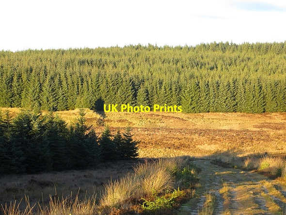 Photo 6"x4" Sandy track, Berry Moss Long Knowe Burn c2013