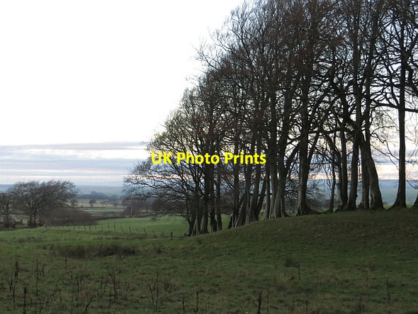 Photo 6"x4" Beeches, Kirkwood Caldermill c2013