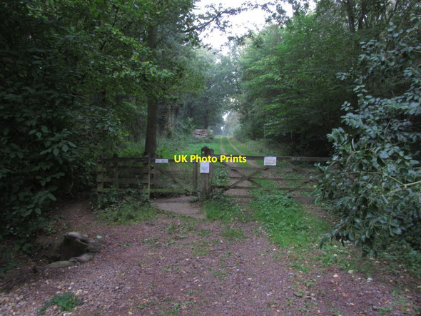 Photo 6"x4" Woodland track running N through Potterhanworth Wood Potterhanworth Booths c2013
