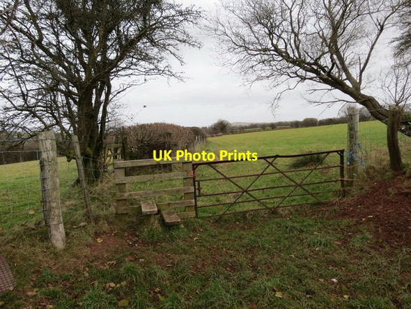 Photo 6"x4" Llwybr Gelli Gynon Fach \/ Gelli Gynon Fach footpath Talsarn\/SN7726 c2013