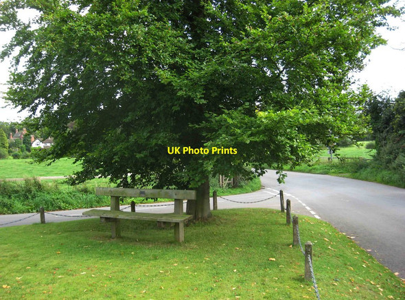 Photo 6"x4" A seat under a tree, Main Street, Worfield, Shrops Worfield c2013