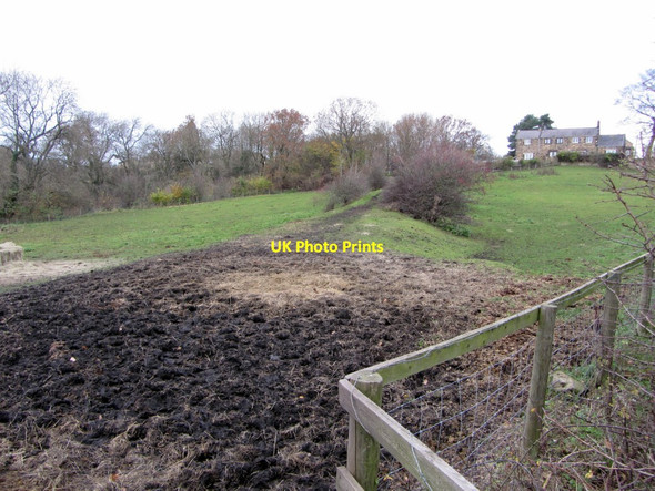 Photo 6"x4" Embankment of former Walbottle Waggonway Ryton\/NZ1564 c2013