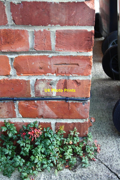 Photo 6"x4" Benchmark on #365 Cowley Road Oxford\/SP5106 c2013