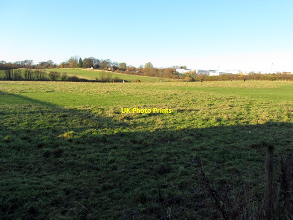 Photo 6"x4" Pasture south of Hexham Road, Walbottle Ryton\/NZ1564 c2013