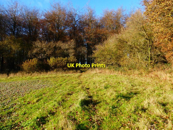 Photo 6"x4" Corner of field by Wildhams Wood Chilgrove c2013