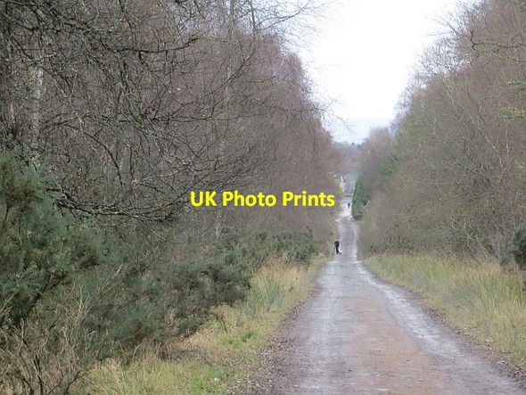 Photo 6"x4" Road, Muir of Thorn Murthly c2013