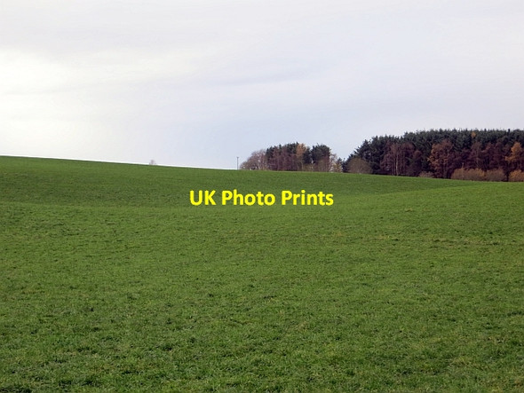 Photo 6"x4" Field, Baldarroch Murthly c2013