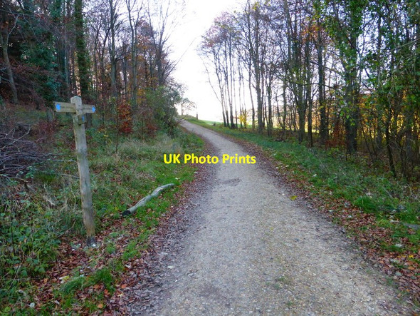 Photo 6"x4" Bridleway leaves wood going south from Chilgrove Stoughton\/SU8011 c2013