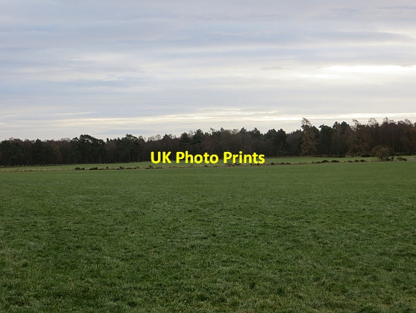Photo 6"x4" Large field, Baldarroch Murthly c2013