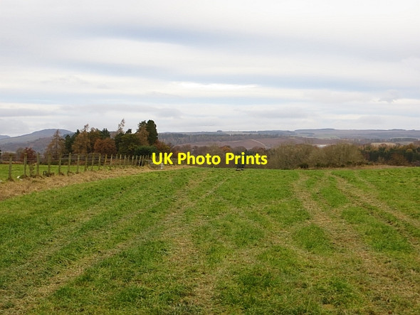 Photo 6"x4" Field, Baldarroch Murthly c2013