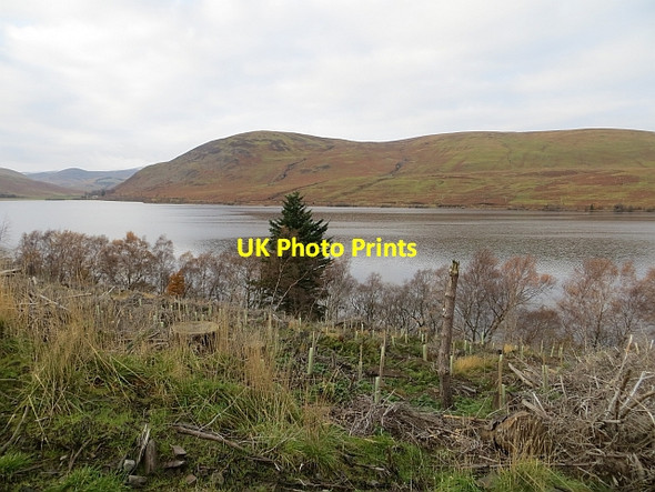 Photo 6"x4" St Mary's Loch Dryhope c2013