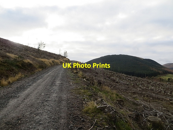 Photo 6"x4" Logging road, Bowerhope Bowerhope c2013