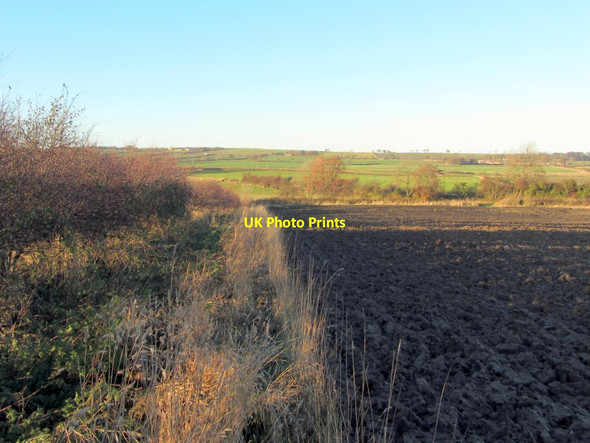 Photo 6"x4" Footpath to Cut End north of A69 North Walbottle c2013