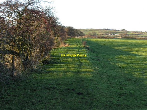 Photo 6"x4" Embankment of former waggonway south-east of Dewley Farm North Walbottle c2013