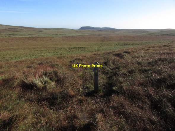 Photo 6"x4" Marker post on Ulster Way and view across blanket bog to Benaughlin Swanlinbar c2013