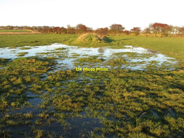 Photo 6"x4" Embankment of former Walbottle Waggonway (eastern branch) Callerton c2013