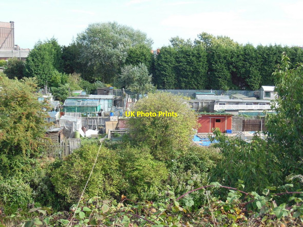 Photo 6"x4" Allotments off Northumberland Avenue, Hull Kingston upon Hull c2013