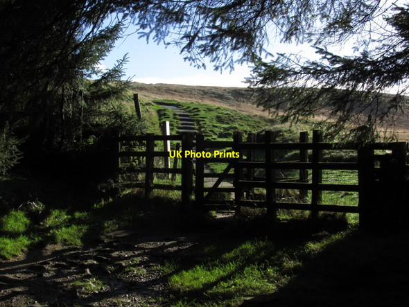Photo 6"x4" Main path up Shutlingsloe at edge of Macclesfield Forest Macclesfield Forest c2013