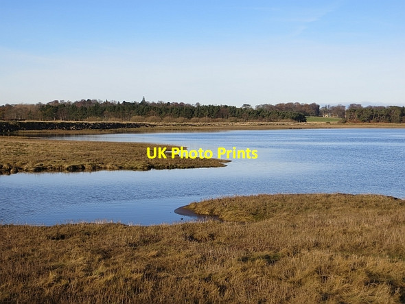 Photo 6"x4" Tyne Estuary Knowes\/NT6177 c2013