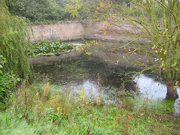 Photo 6"x4" Pond, Ballingham Hall Ballingham c2008