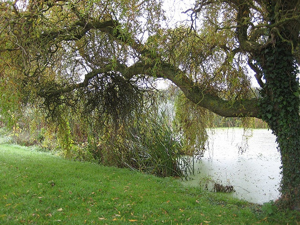 Photo 6"x4" Village pond, Ballingham Ballingham c2008