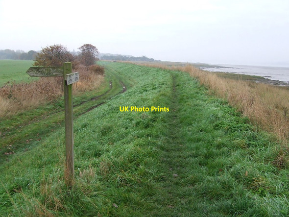 Photo 6"x4" Stour Valley Path Cattawade c2013