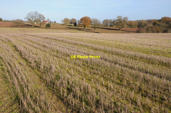 Photo 6"x4" Stubble field near Thornbury Thornbury\/SO6259 c2013