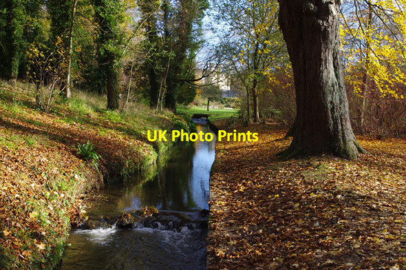 Photo 6"x4" Leeds Castle grounds Ashbank\/TQ8253 c2013