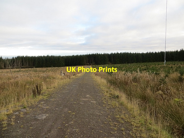 Photo 6"x4" Logging road, Middle Rig Sandford\/NS7143 c2013
