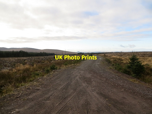 Photo 6"x4" Road, Middle Rig Sandford\/NS7143 c2013