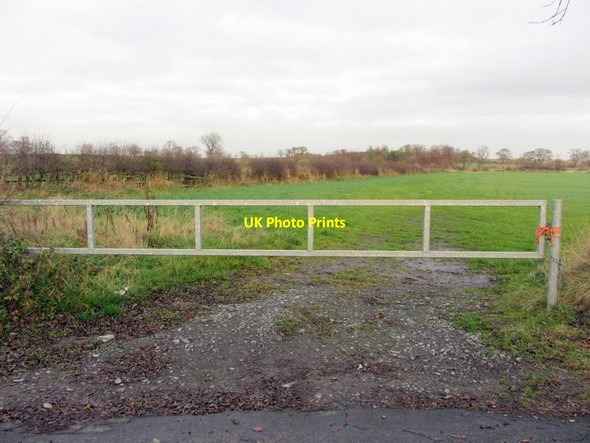 Photo 6"x4" Hedgerow east of Black Callerton Black Callerton c2013