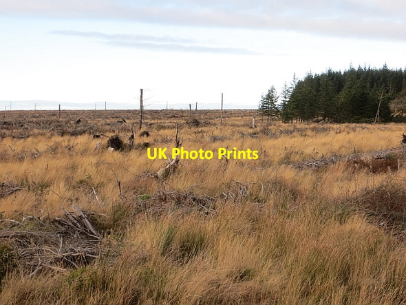 Photo 6"x4" Middle Rig Sandford\/NS7143 c2013