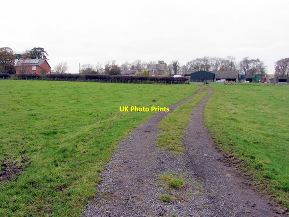 Photo 6"x4" Broomhall Farm Callerton Lane End c2013
