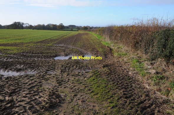 Photo 6"x4" Footpath and arable field Bockleton c2013