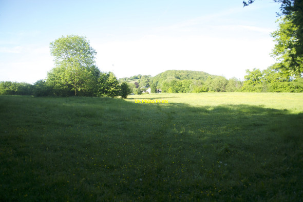 Photo 6"x4" Meadow at Staunton Staunton\/SO5512 c2013