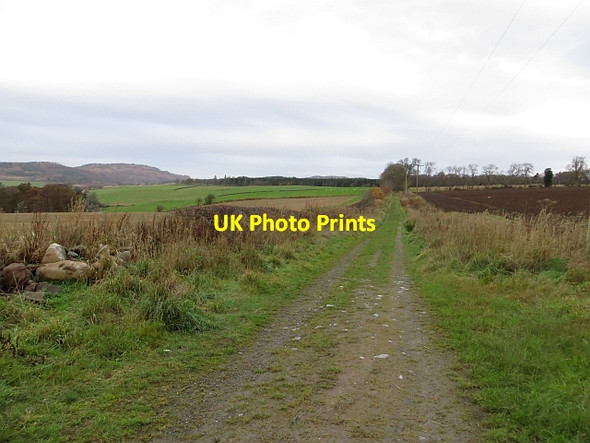 Photo 6"x4" Track between Blackford and Kingswood Bankfoot\/NO0635 c2013