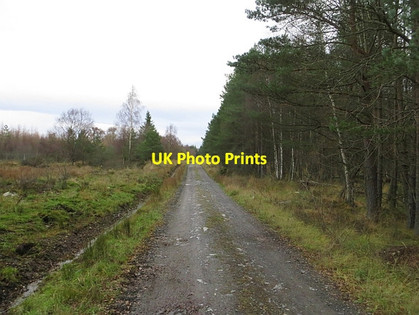 Photo 6"x4" Road, Muir of Thorn Murthly c2013