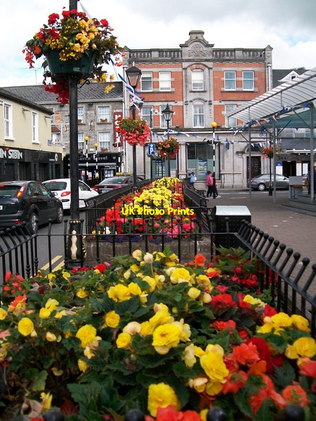 Photo 6"x4" Flower beds in Town Hall Street, Cavan Cavan c2013