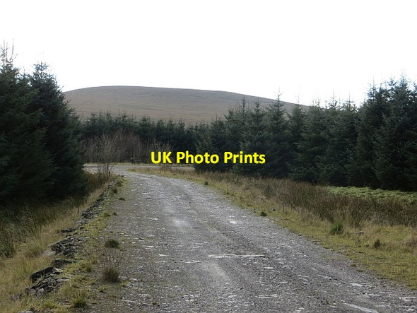 Photo 6"x4" Logging road, Struther Burn Moss Red Bog c2013