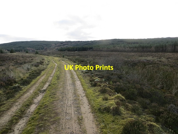 Photo 6"x4" Track, South Feeshie Burn Auchengilloch c2013